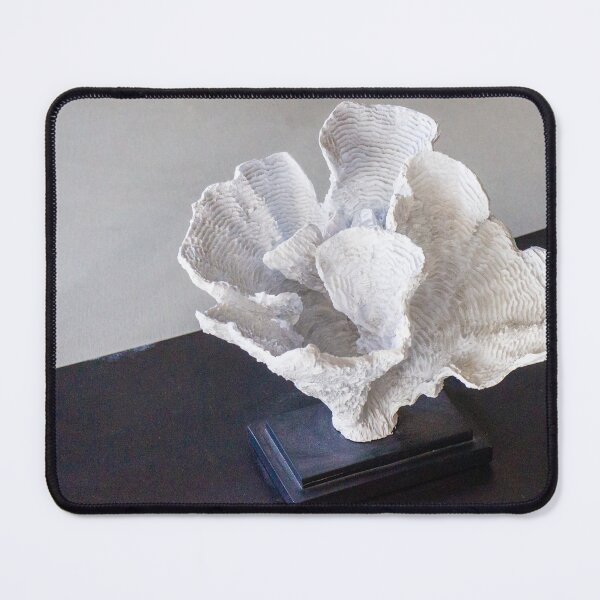 Item preview, White Coral Sculpture on Black Base Decorative Home Decor Accent for Coastal Interior Styling designed and sold by Nmallia.