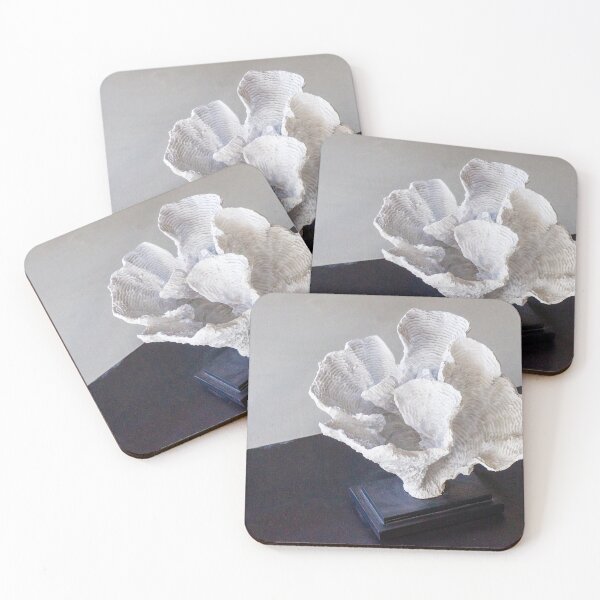 Item preview, White Coral Sculpture on Black Base Decorative Home Decor Accent for Coastal Interior Styling designed and sold by Nmallia.