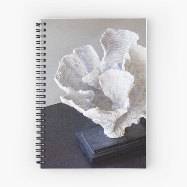 Item preview, White Coral Sculpture on Black Base Decorative Home Decor Accent for Coastal Interior Styling designed and sold by Nmallia.