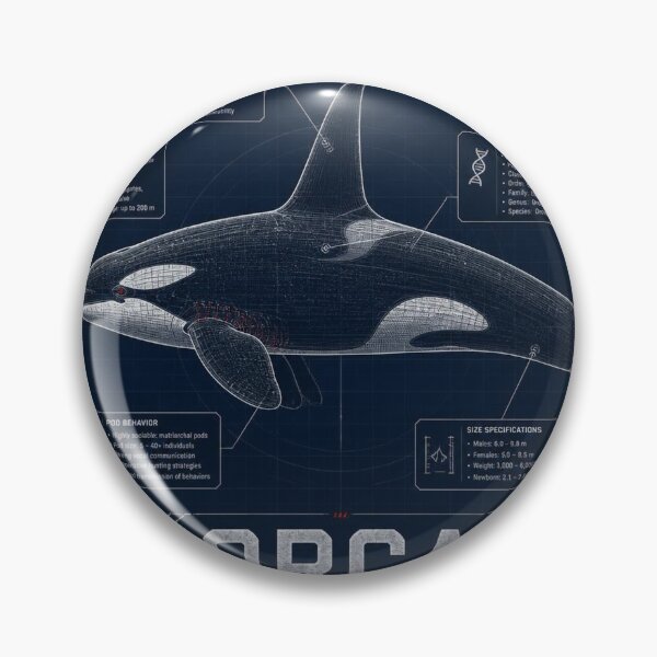Item preview, Orca Blueprint Art | Sea Creatures Technical Illustration designed and sold by SunnyDesign82.