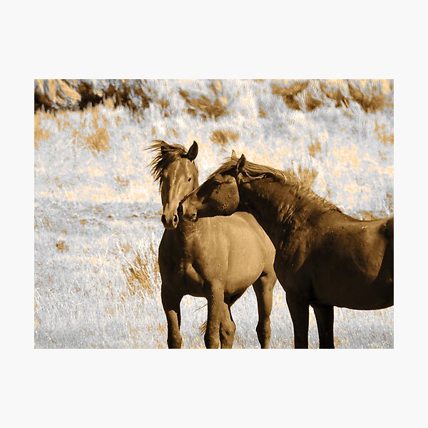 Item preview, Nuzzling designed and sold by Robert Ball.