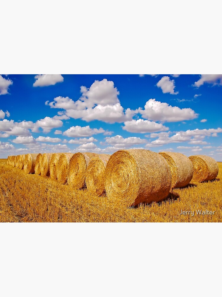 Thumbnail 3 of 3, Canvas Print, Golden Hay Bales designed and sold by jwwalter.