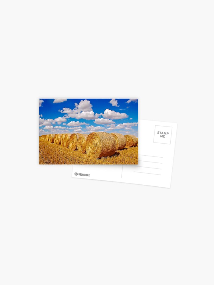 Postcard, Golden Hay Bales designed and sold by Jerry Walter