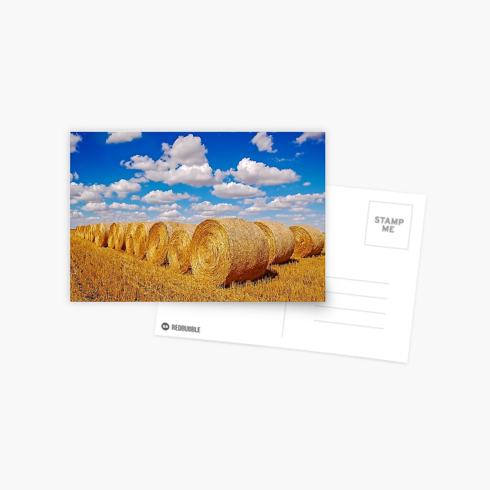 Item preview, Postcard designed and sold by jwwalter.