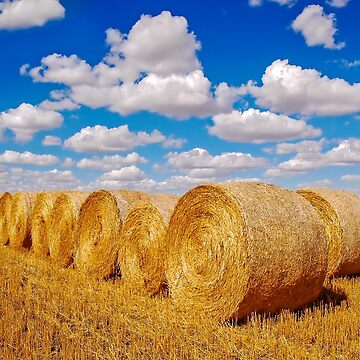 Artwork thumbnail, Golden Hay Bales by Jerry Walter