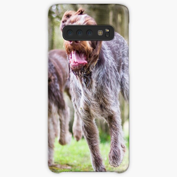 Italian Spinone Dogs Luca and Nico Samsung Galaxy Snap Case
