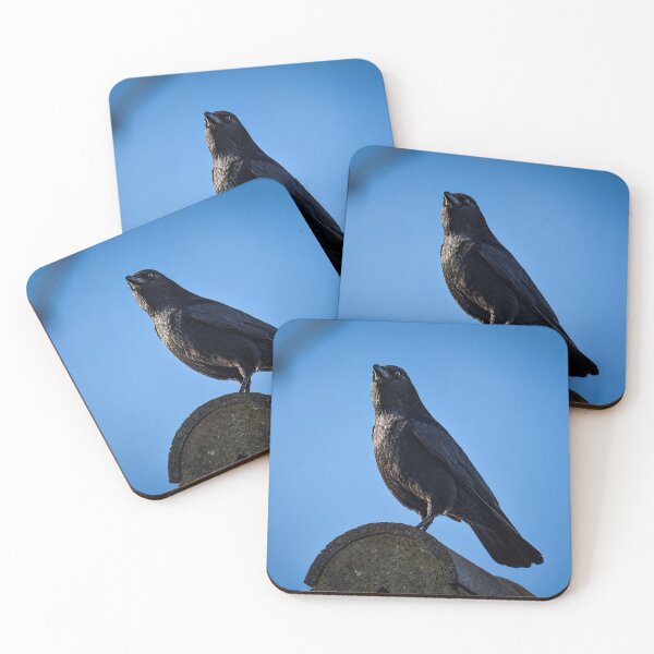 Item preview, Crow perched on rooftop designed and sold by Astute-Artio-Photography.