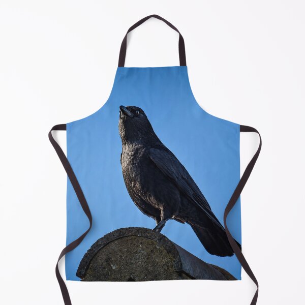 Item preview, Crow perched on rooftop designed and sold by Astute-Artio-Photography.