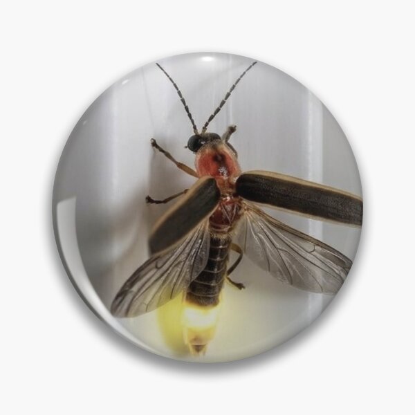 Item preview, Glowing firefly on window frame designed and sold by Astute-Artio-Photography.