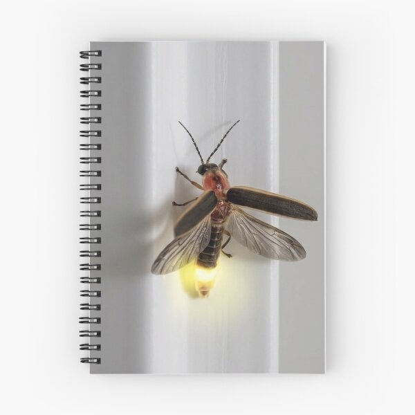Item preview, Glowing firefly on window frame designed and sold by Astute-Artio-Photography.