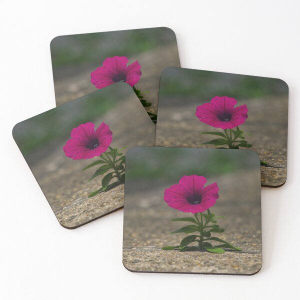 Item preview, Grow Under Any Conditions designed and sold by TheeForestFox Shop.