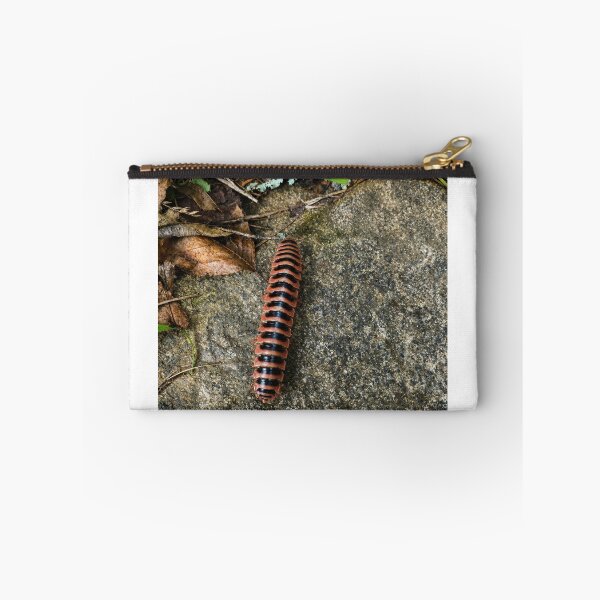 Item preview, Flat-backed Millipede crossing woodland stone designed and sold by Astute-Artio-Photography.