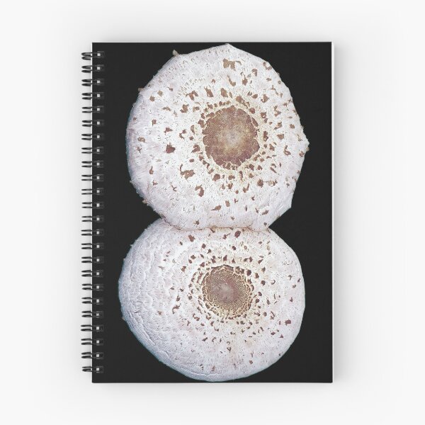 Item preview, Garden Lepiota Mushrooms designed and sold by Alan-David.