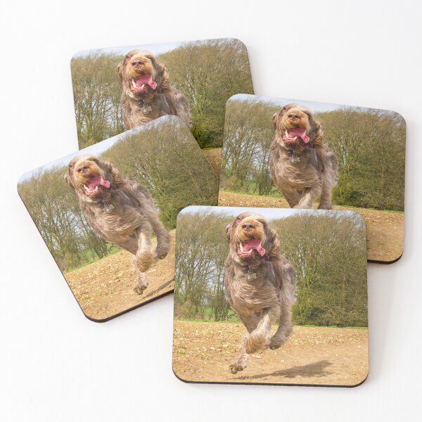 Item preview, Galloping Spinone designed and sold by FOLK ART FUSION.