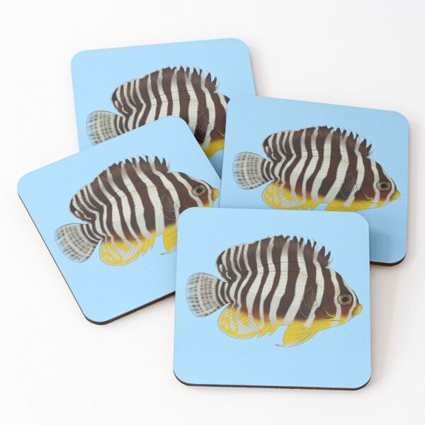 Item preview, Multibar Angelfish designed and sold by Copperbora.