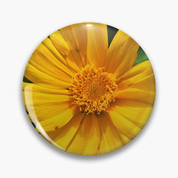 Item preview, Yellow Coreopsis Bloom Photo designed and sold by NikaNavi.