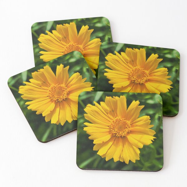 Item preview, Yellow Coreopsis Bloom Photo designed and sold by NikaNavi.