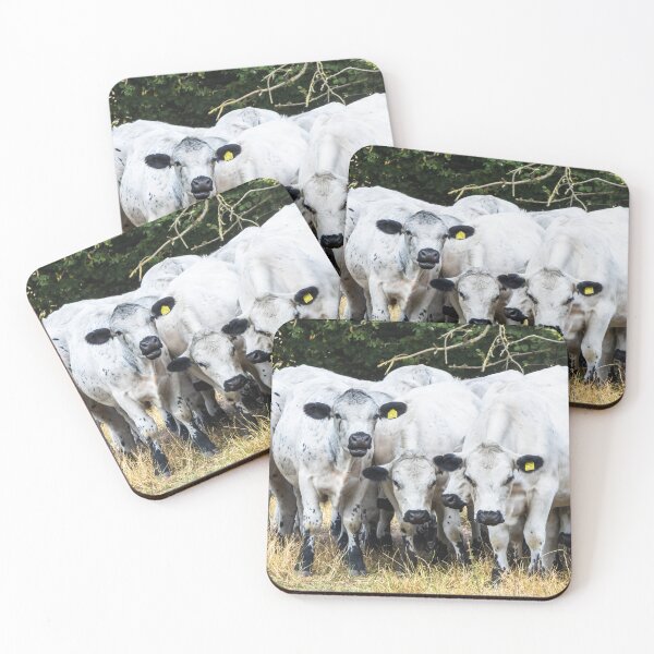 Item preview, White Park Herd designed and sold by Jane Stanley Photography.