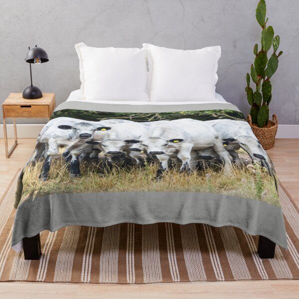Item preview, White Park Herd designed and sold by Jane Stanley Photography.