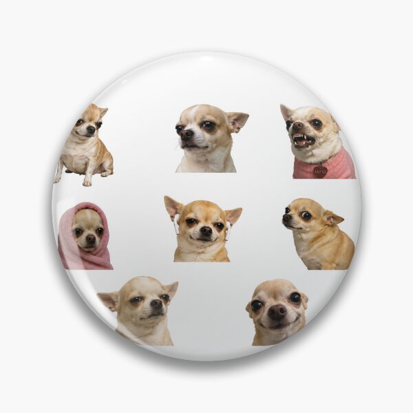 Item preview, chihuahua meme package designed and sold by douce-stickers.
