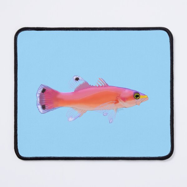 Item preview, Caribbean Deepwater Cave Basslet designed and sold by Copperbora.