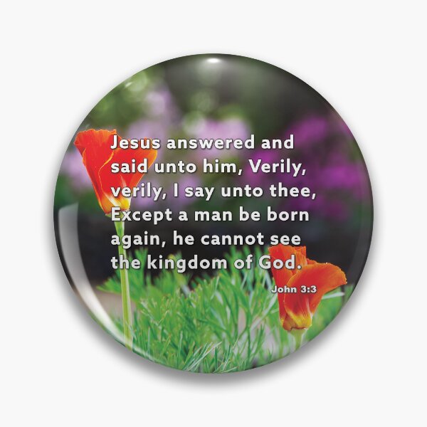 Item preview, John 3:3 Born Again - Poppies Photograph designed and sold by InsprtnlArtbyDP.