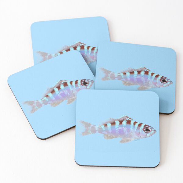 Item preview, Chalk Bass designed and sold by Copperbora.
