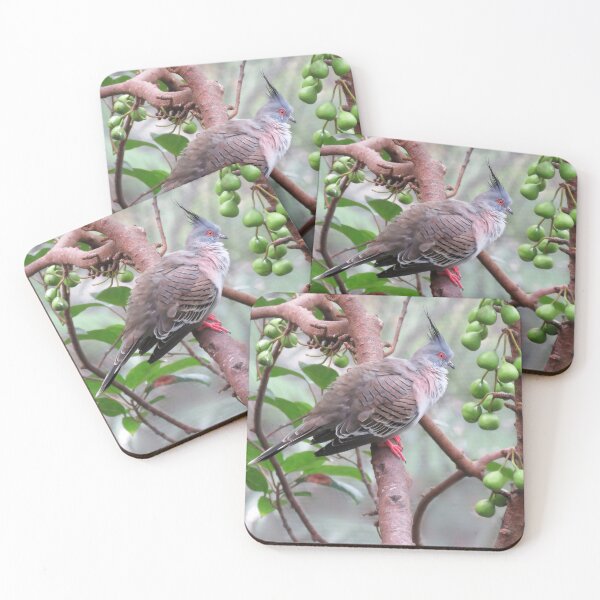 Item preview, Crested Pigeon designed and sold by Linda Walsh.