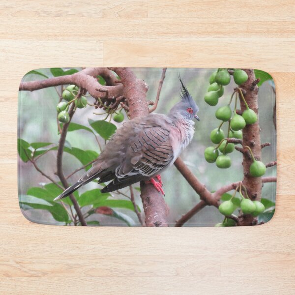 Item preview, Crested Pigeon designed and sold by Linda Walsh.
