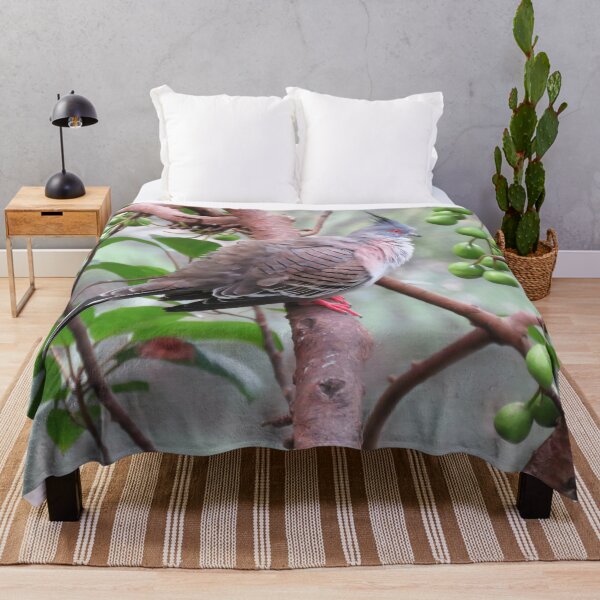 Item preview, Crested Pigeon designed and sold by Linda Walsh.