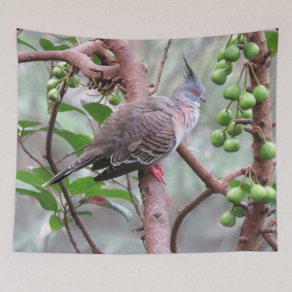 Item preview, Crested Pigeon designed and sold by Linda Walsh.