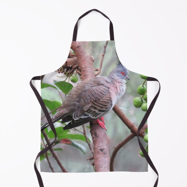 Item preview, Crested Pigeon designed and sold by Linda Walsh.