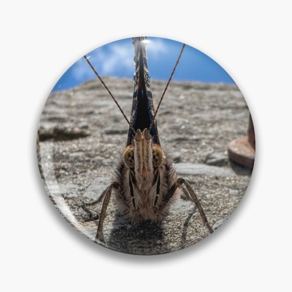 Item preview, Vibrant macro of a moth designed and sold by Astute-Artio-Photography.