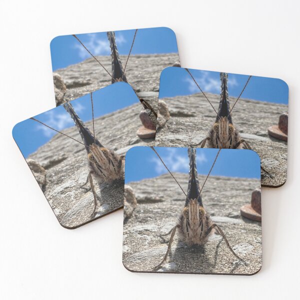 Item preview, Vibrant macro of a moth designed and sold by Astute-Artio-Photography.