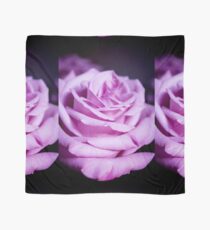 Lilac rose on black background Scarf
