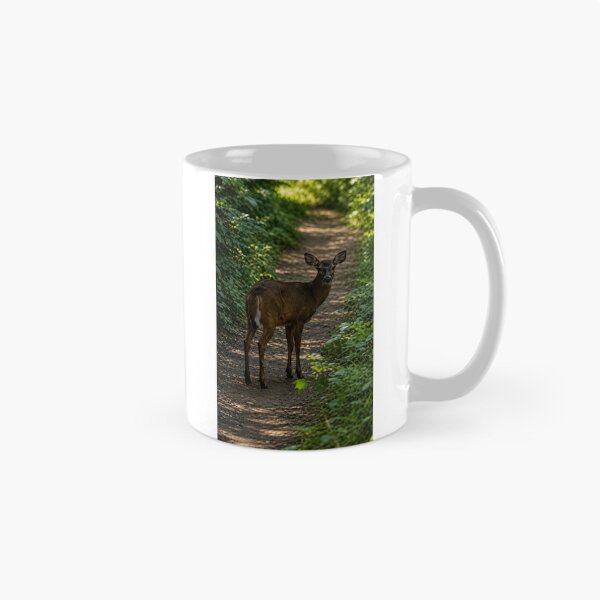 Item preview, Curious young deer on woodland path designed and sold by Astute-Artio-Photography.
