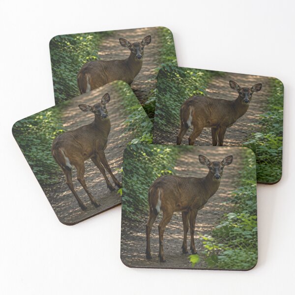 Item preview, Curious young deer on woodland path designed and sold by Astute-Artio-Photography.