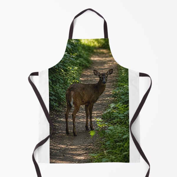 Item preview, Curious young deer on woodland path designed and sold by Astute-Artio-Photography.