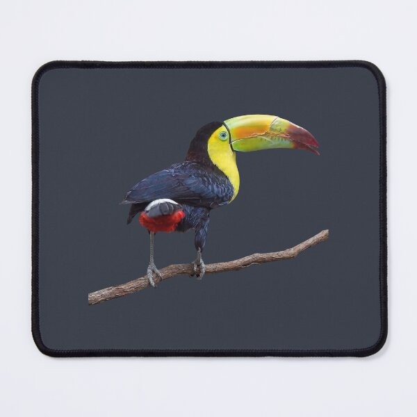 Item preview, Rainbow-Billed Toucan designed and sold by Susan Savad.
