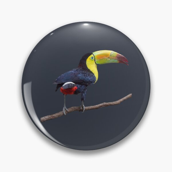 Item preview, Rainbow-Billed Toucan designed and sold by Susan Savad.