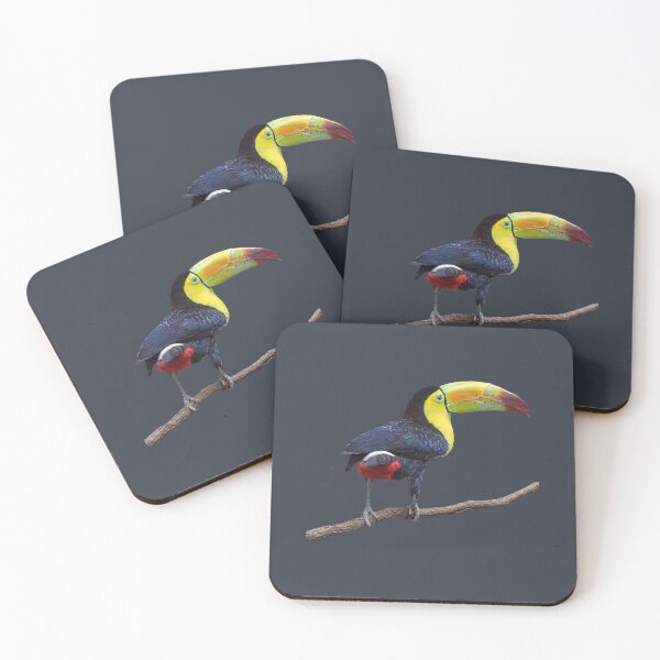Item preview, Rainbow-Billed Toucan designed and sold by Susan Savad.