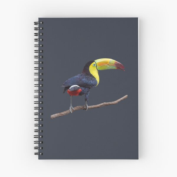 Item preview, Rainbow-Billed Toucan designed and sold by Susan Savad.