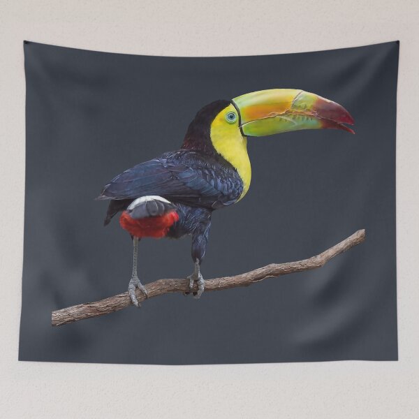 Item preview, Rainbow-Billed Toucan designed and sold by Susan Savad.