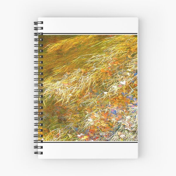 Item preview, Aquatic Flora in a Mountain Stream, Autumn, Digital Illustration designed and sold by AMacGPhilly.