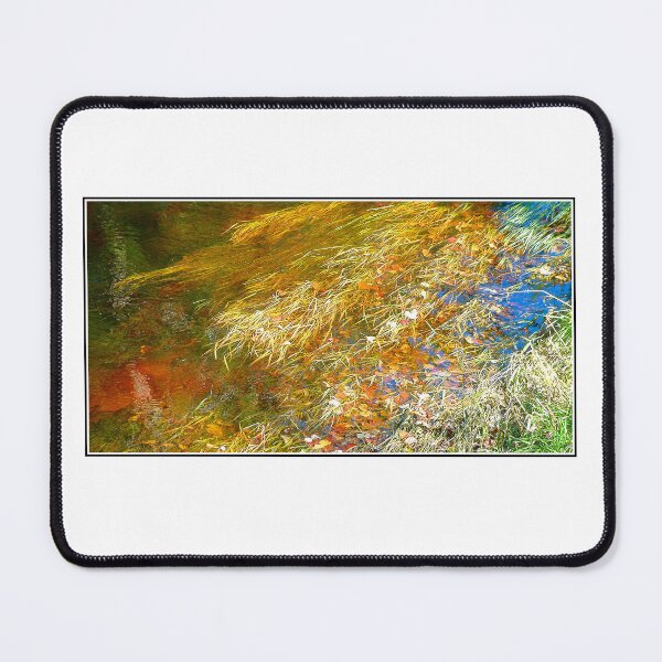 Item preview, Aquatic Flora in a Mountain Stream, Autumn, Digital Illustration designed and sold by AMacGPhilly.