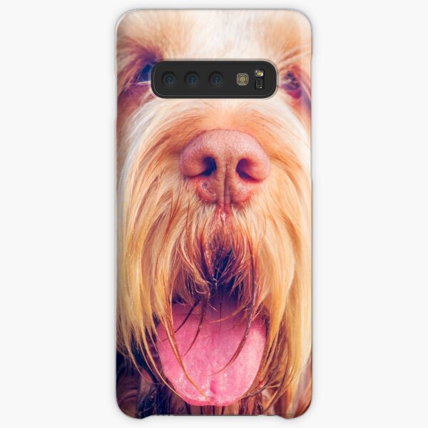 Orange and White Italian Spinone Dog Head Shot Samsung Galaxy Snap Case