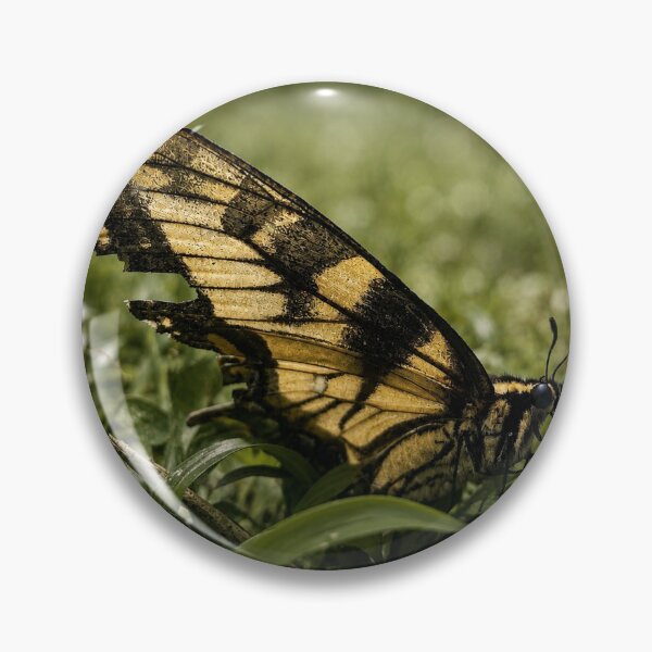 Item preview, Swallowtail butterfly resting designed and sold by Astute-Artio-Photography.