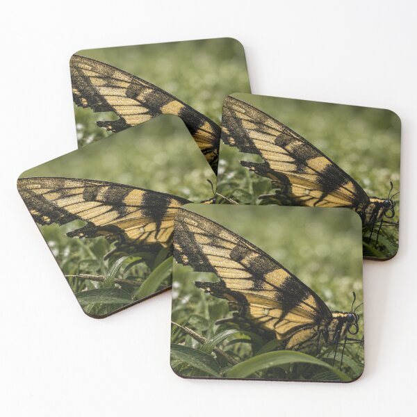 Item preview, Swallowtail butterfly resting designed and sold by Astute-Artio-Photography.