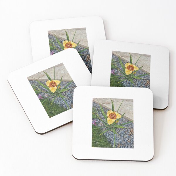 Item preview, Exotic Yellow Tiger Iris Flower Photography designed and sold by SofiaByCruti.