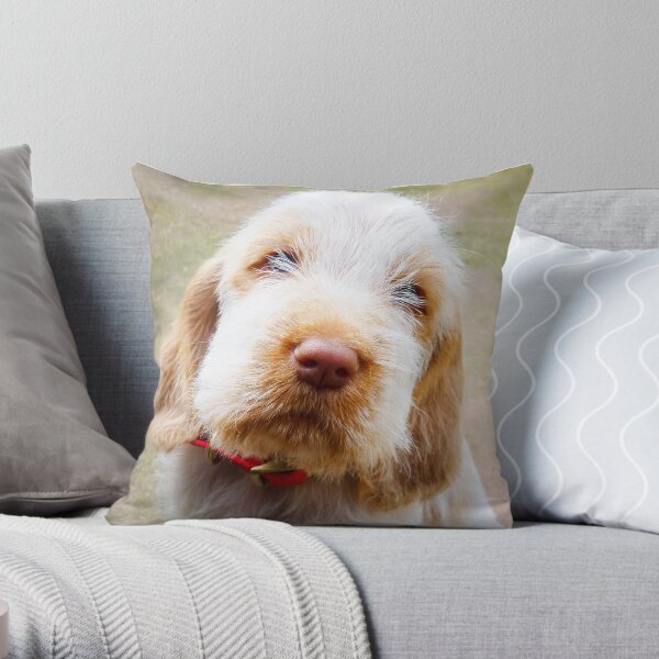 Lifetime of love Spinone puppy Throw Pillow